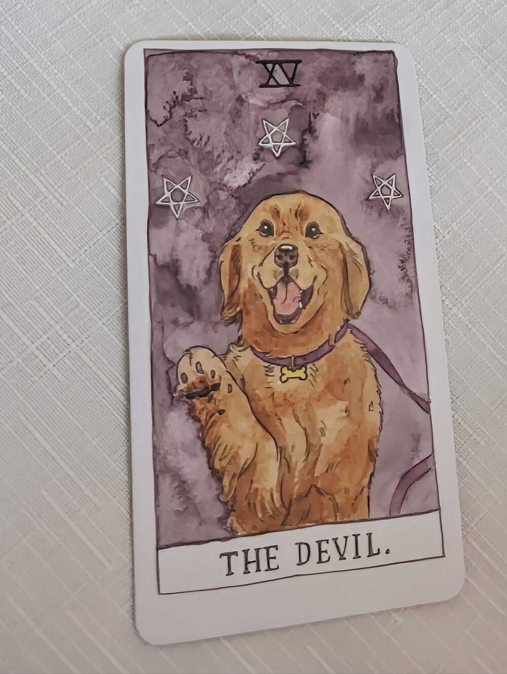 Totally Adorable Cat Tarot Card Set With Manual - Picture 3 of 10
